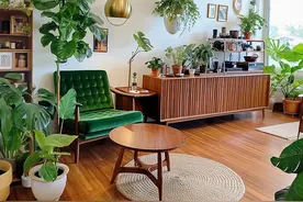 客厅光线差，就养“阴性花”，分享12种，总有一种你喜欢图片