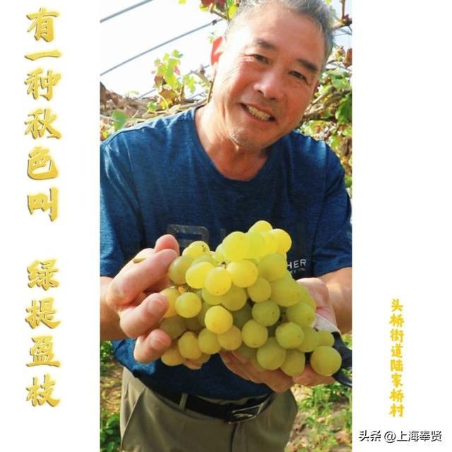 秋分至，奉贤的秋天仪式感拿捏住了！