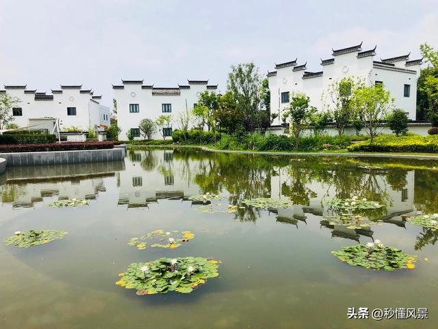 上海偏僻小众的公园，能看到很多徽派建筑，还以为来到安徽宏村！