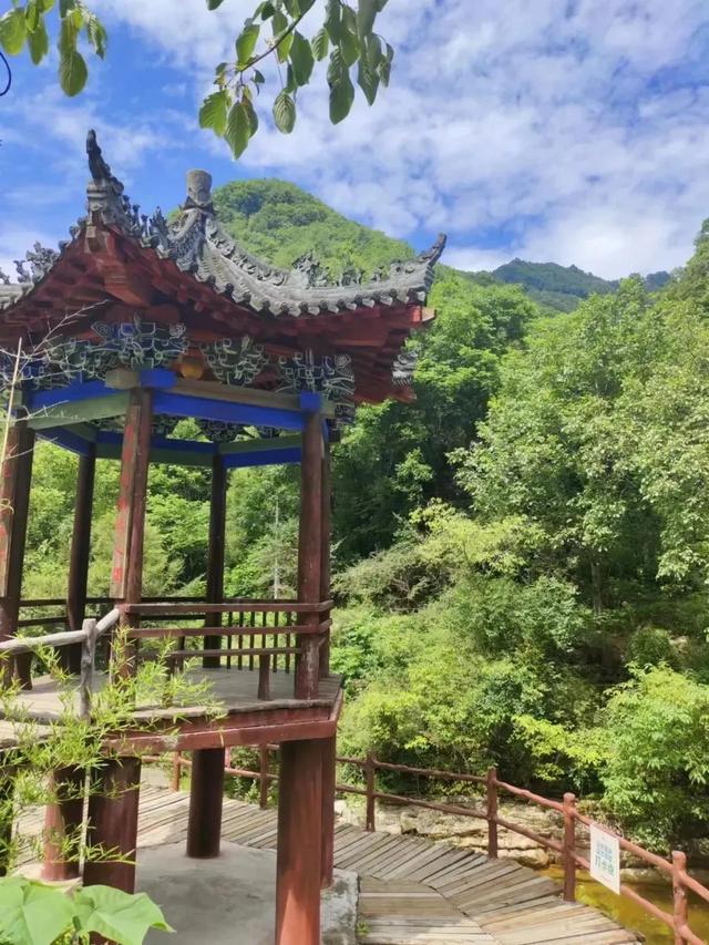 入伏了！黄柏塬带你走进19℃的夏天，云雾缭绕的山野避暑秘境