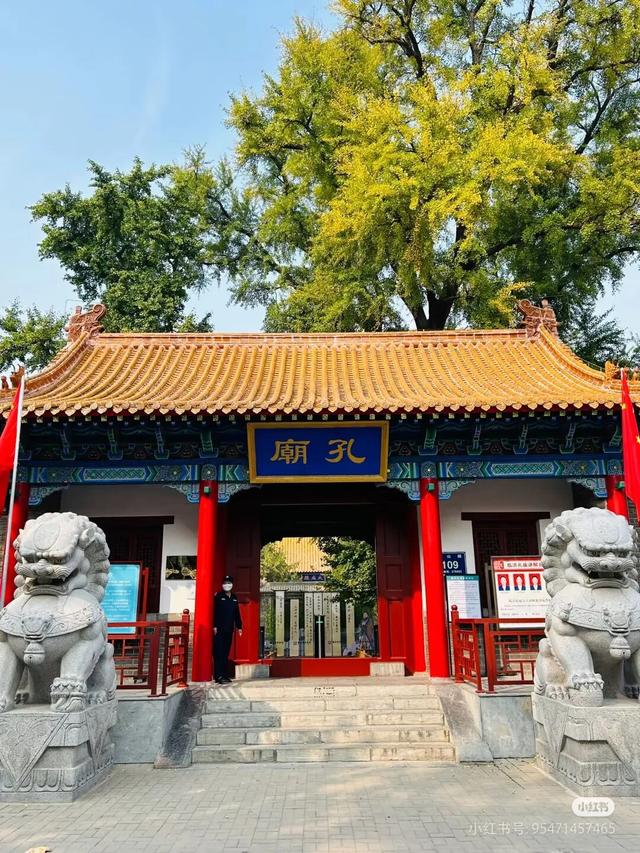 球迷们速来鲁Q集合啦！2025齐鲁超赛，临沂观赛旅游攻略送到，今日18：00开票