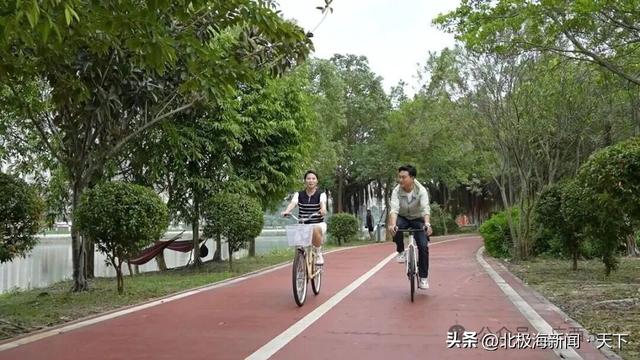 跨越山海，遇见防城港：一条边、一片海、一座城的共生之路