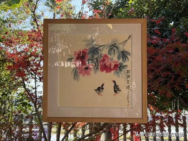 遛娃休闲两不误，在长沙“小禾木”邂逅12月初的灿烂风光！