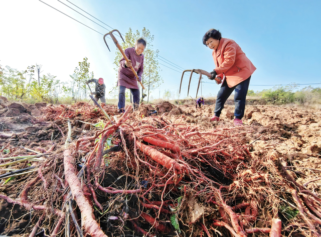 这一次，不得不去新安了！