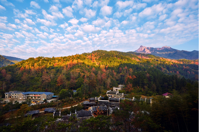 给你个准信！韶关森林红！红！红啦~