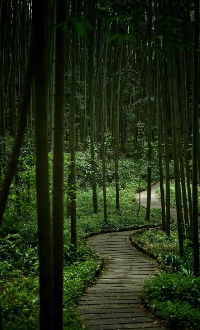 假期余额告急!快抓住尾巴,奔赴彭州通济的山水间“续费”快乐!