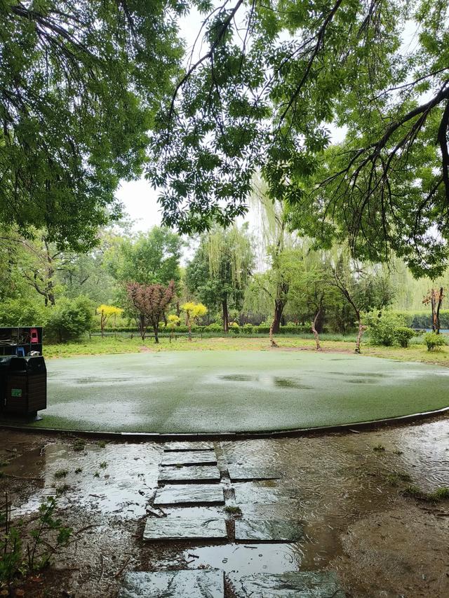 天津雨中的《红光公园》