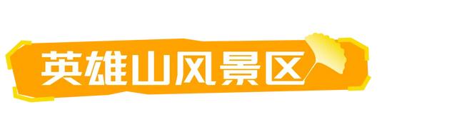 山东：时至初冬，银杏正当时