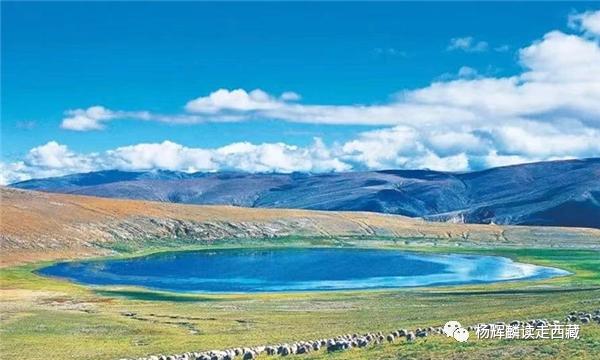 山南•曲松，这几个地方必须去，可以一睹藏獒风采