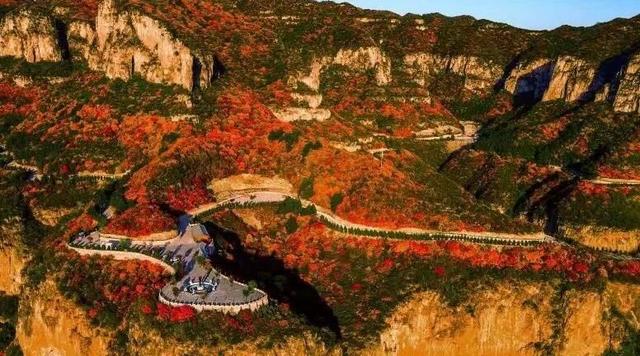 深秋的平山，红了！