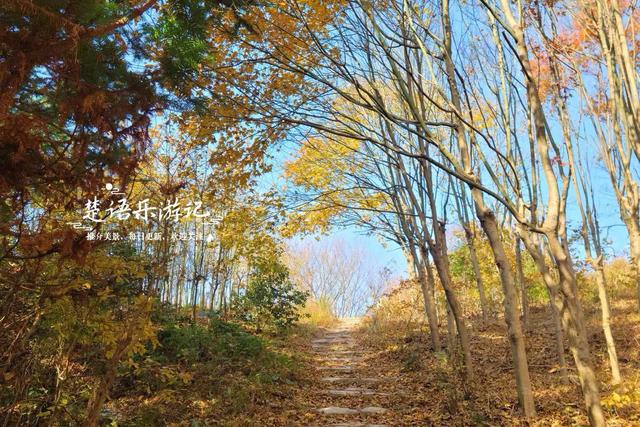 浙江宁波这两条古道堪称黄金组合，景色比油画还要美，游玩正当时