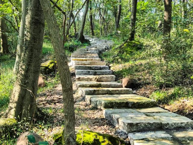 明光徒步新选择！