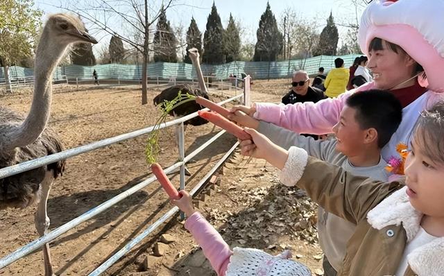 2025年12月1日 渭南文化旅游资讯微报（组图）