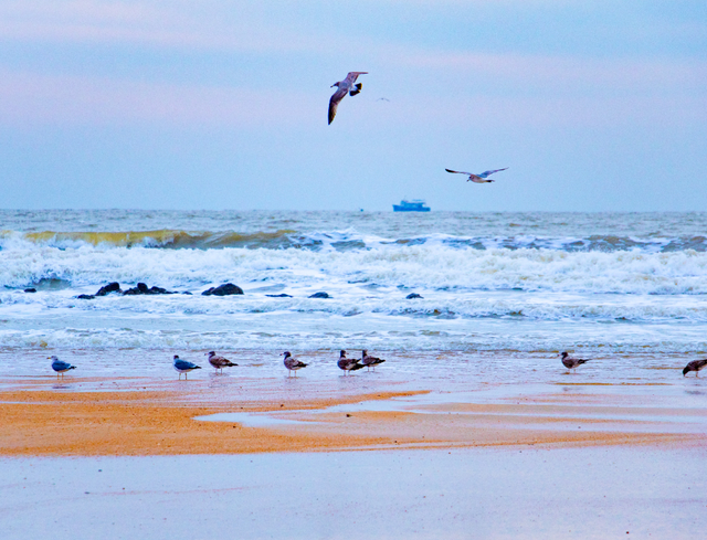 山海天的“猫冬限定”暖游图鉴来咯！