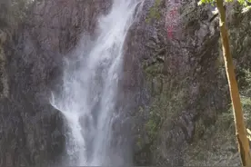 2025年中考名著终级押题，十大名著考题汇总图片