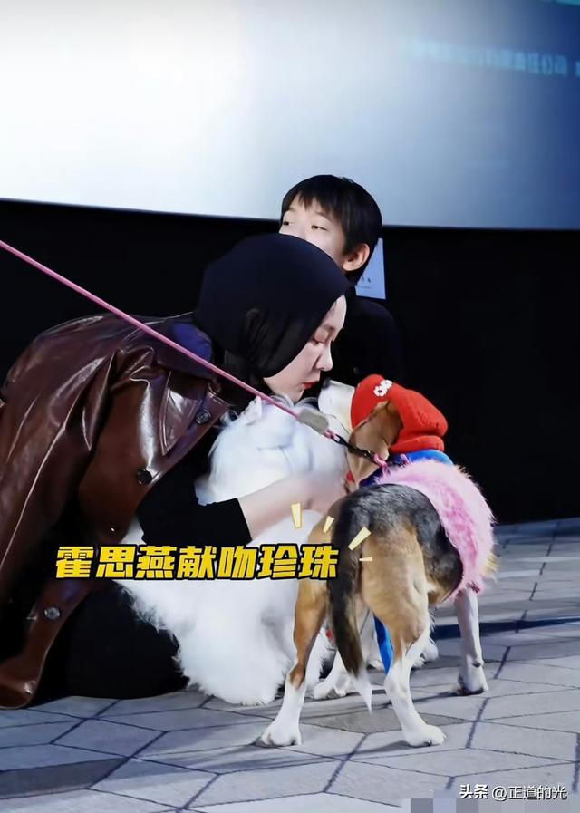 霍思燕穿旗袍携爱犬夺冠前凸后翘丰乳肥臀 难怪杜江对她生理性喜欢