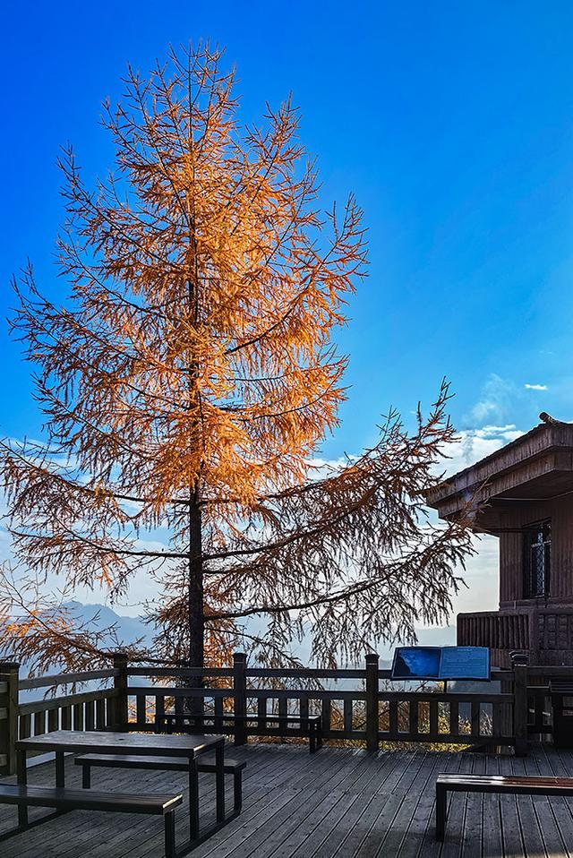 2024深秋四川行19 神农架风景区2 华中屋脊的五彩秘境