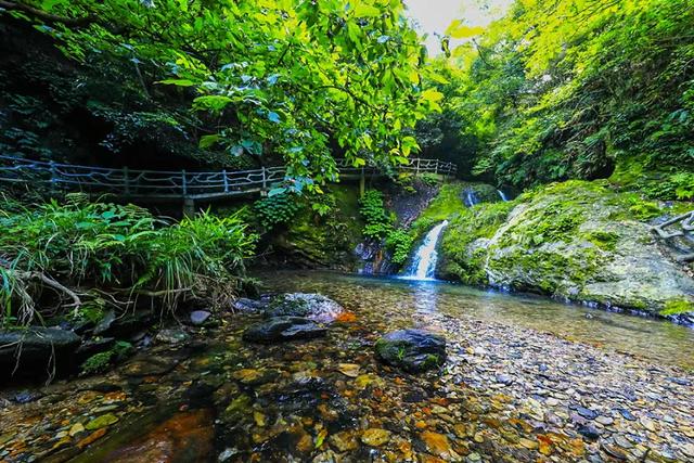 秋冬遛娃“药”新鲜!能吃能玩还能“养”,这条游玩路线一站式拿捏