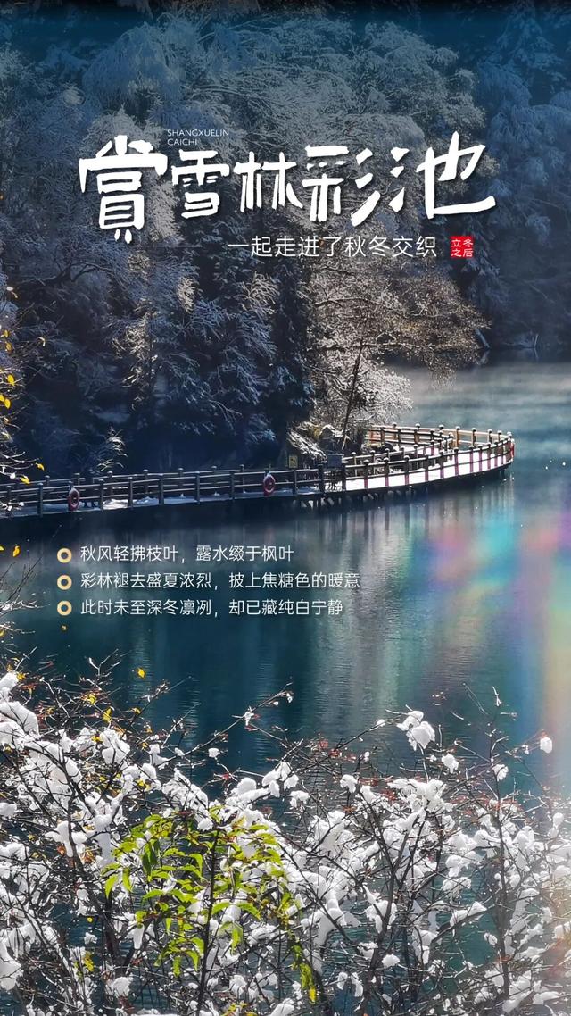 九寨沟冬日限定皮肤上线！快来九寨沟赏雪林彩池啦~