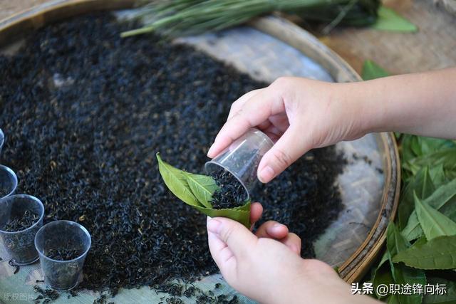 中国最美茶山，能喝到顶级好茶？喝一口记一辈子