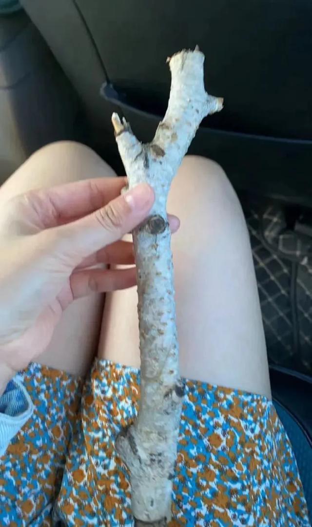 这可能是我买过的最离谱的特产: