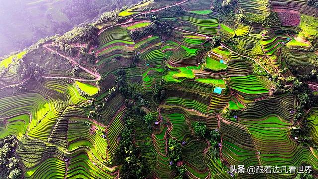 《西双版纳 澜沧行》左都佤山梯田云雾：天地间的水墨长卷