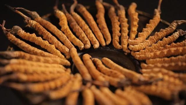 为何这个地方被称为“最像西藏的西藏”？三江并流的奇景给出答案