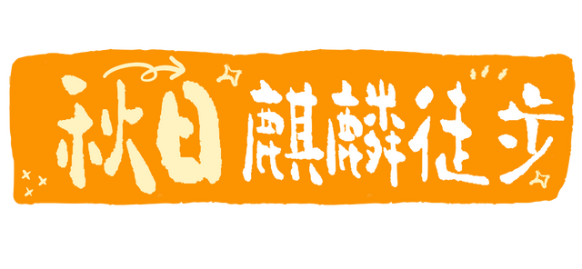 彩林进入黄金期！龙苍沟红叶实况速递，再不来真的要等明年了！