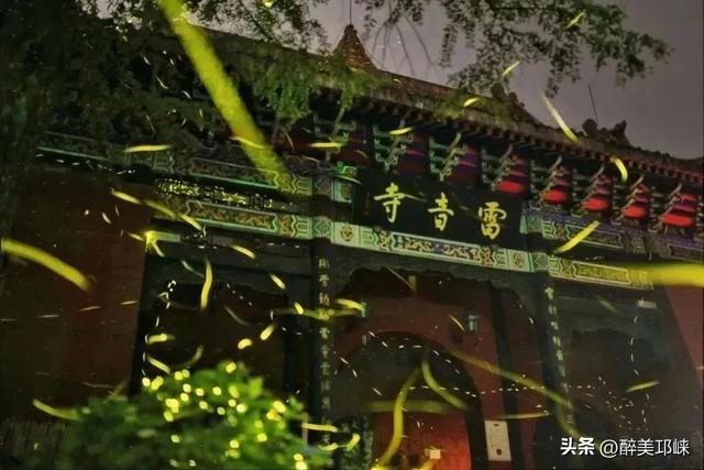 成都天台山：擦亮萤火虫IP，生态保护与经济效益双丰收‌