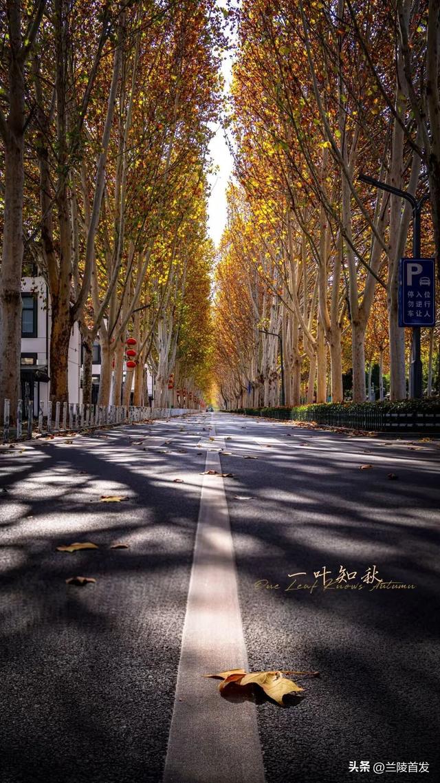 好客山东好品山东｜立冬至，最后一抹兰陵秋色打包送给你~