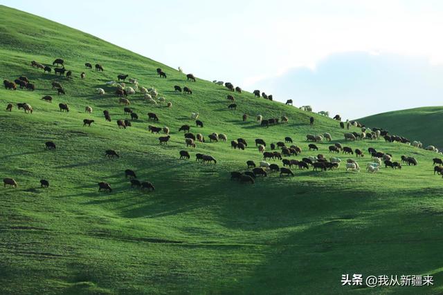 克州秋日旅行清单，解锁万山之州的N种玩法