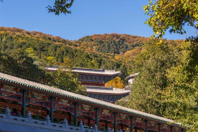 收藏一个秋天,石景山绝美秋色大公开