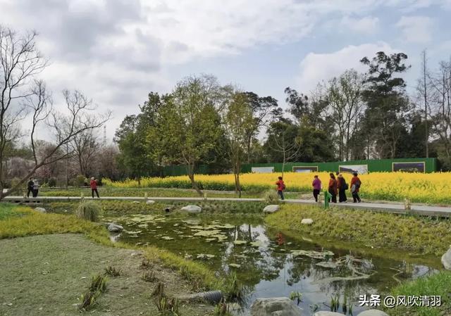 成都西边一个艺术村，73处林盘院落，适合打卡，再现“大地景观”
