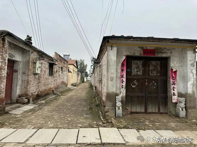 冠县乡韵·桑阿镇野场村