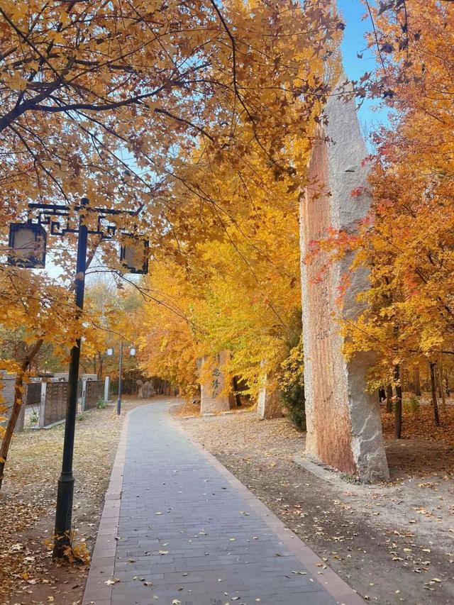即刻出发！两天穿行白城四地，邂逅吉林西部的独特魅力