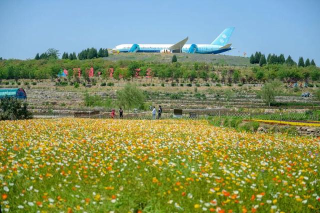 中医药、温泉、养生阿胶，济南的“康养密码”在这里！