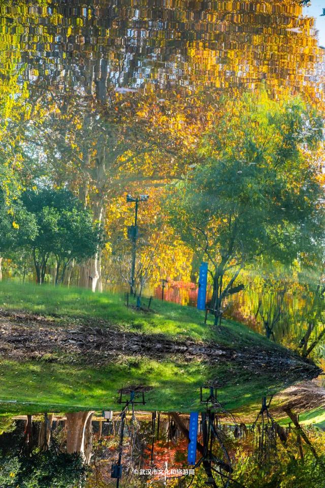 最新发现！2公里“金色隧道”，武汉人私藏了60年！