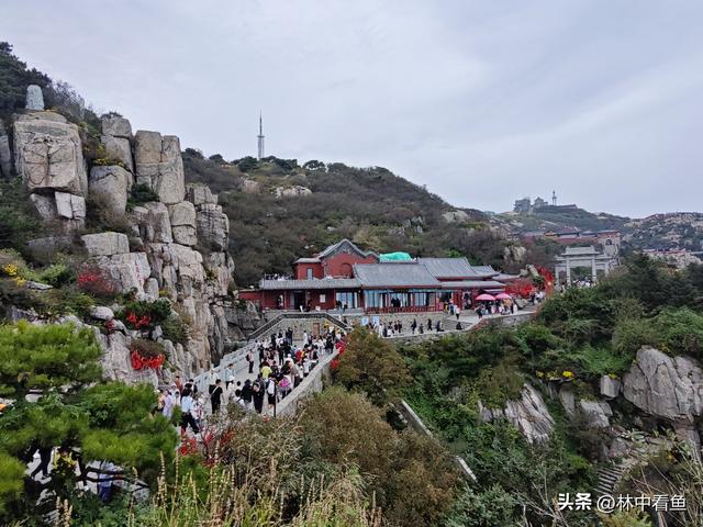 徒步登泰山之三——岱顶风光奇秀绝天下