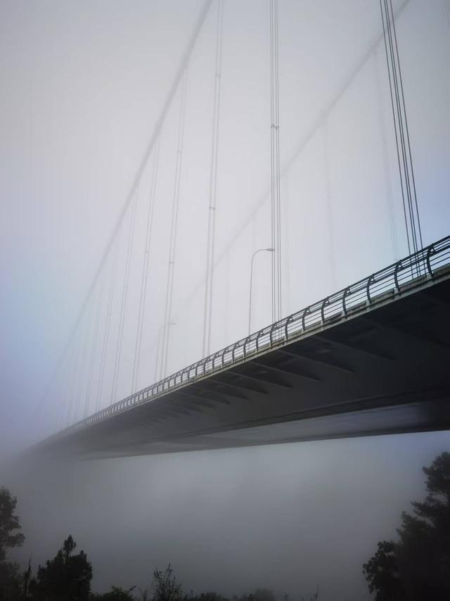 龙江大桥吟：龙江大桥晨雾漫 大桥雄恣令人叹