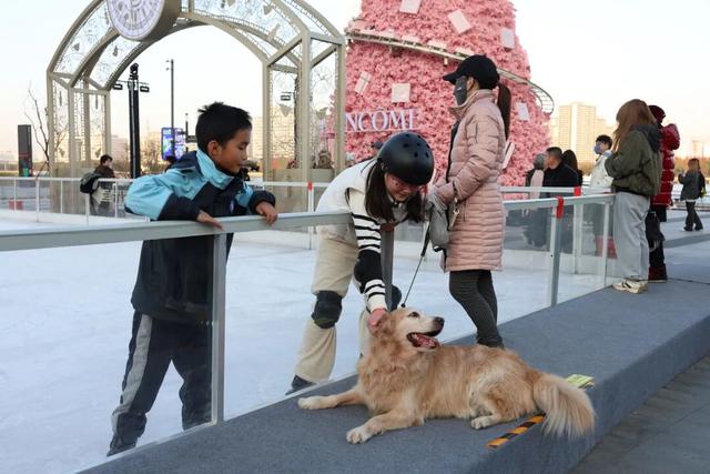奇幻水岸·冬日浪漫！徐汇滨江嘉年华揽胜