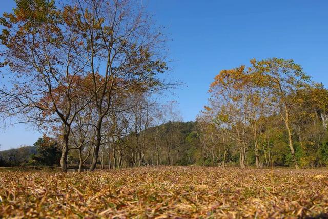 锦屏雷屯：山河冬色醉人意