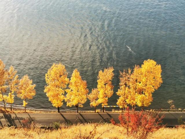 一年中最后一场华丽的秋色，鹤庆泸沽湖休闲5天游！11月底出发