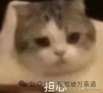 新加坡又双叒被游客吐槽“落后”？！真相却让无数人羡慕哭了～