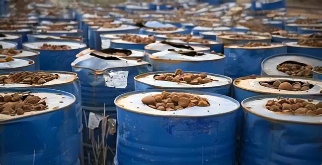 中国使馆要求立即撤侨，五常已经栽了2个，中国军队要不要出手？