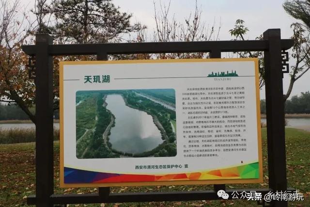 全部免费!渭河南河堤路赏秋攻略大全,那风景简直美爆了!