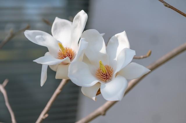 单枪匹马又如何