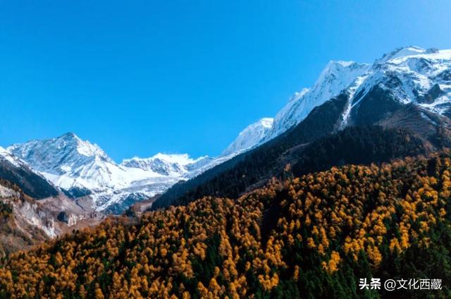 如果此生只来一次西藏林芝，我一定会去这里→
