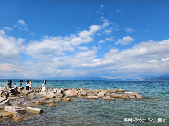 新疆明珠——赛里木湖