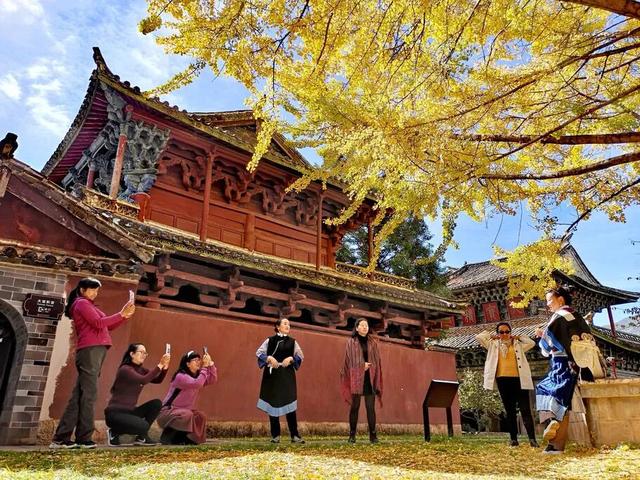 【视界】红墙映金叶!500年古银杏迎最佳观赏期