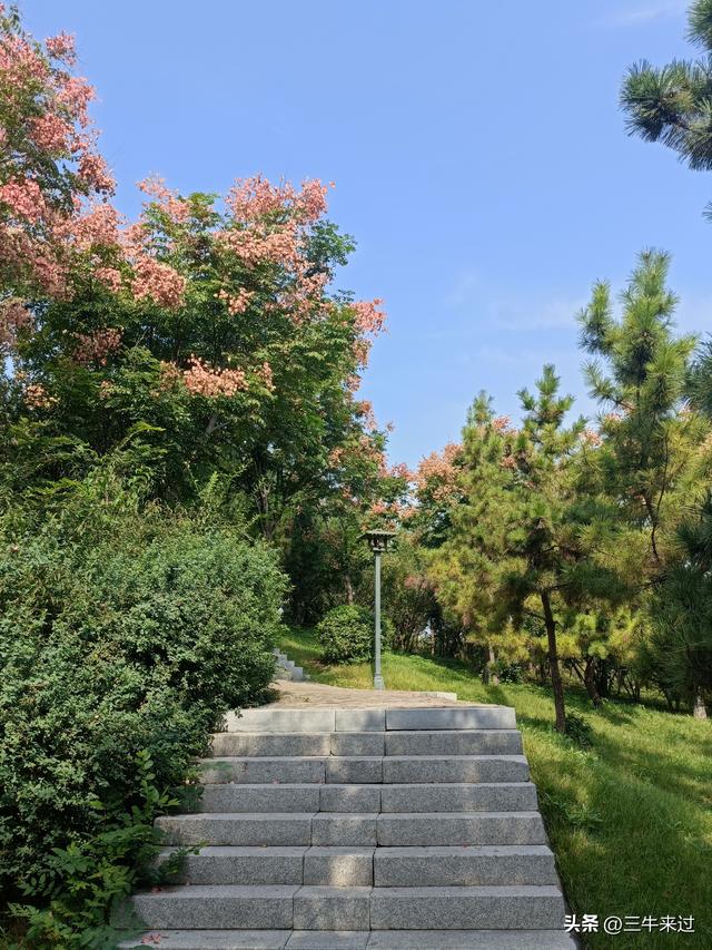 无为在歧路，国庆游淄博1